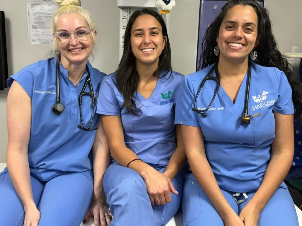 doctors-at-maricamp
