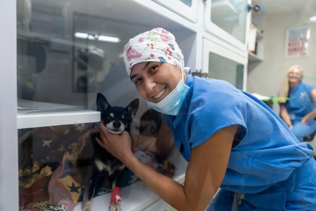 dog-in-kennel-with-staff