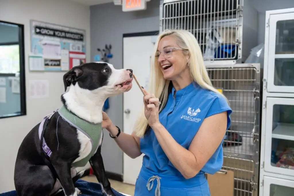dr-obrian-with-dog