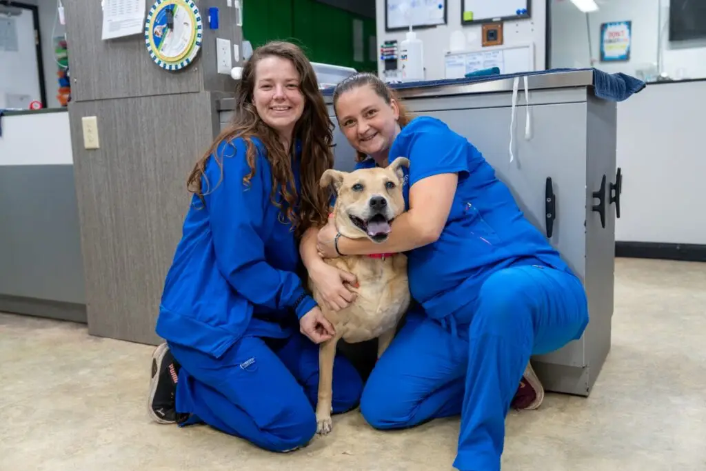 staff-with-lab