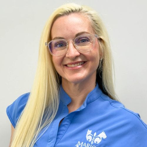 Dr. Katherine O'Brien DVM