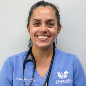 dr-kathy-otero-dvm