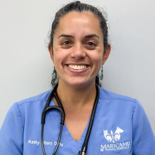 dr-kathy-otero-dvm