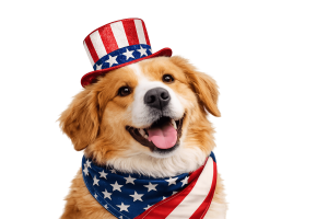 patriotic-pup